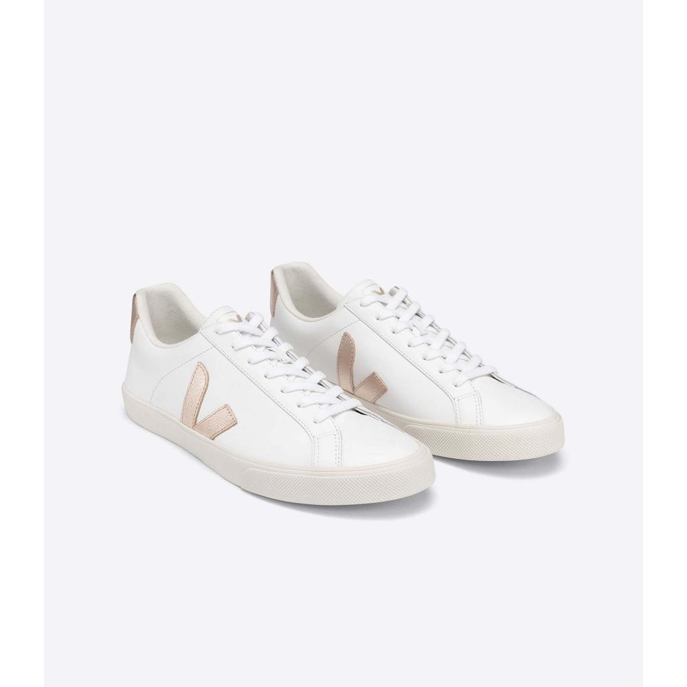 Veja ESPLAR LEATHER Sneakers Dames White/Brown | NL 606TCE